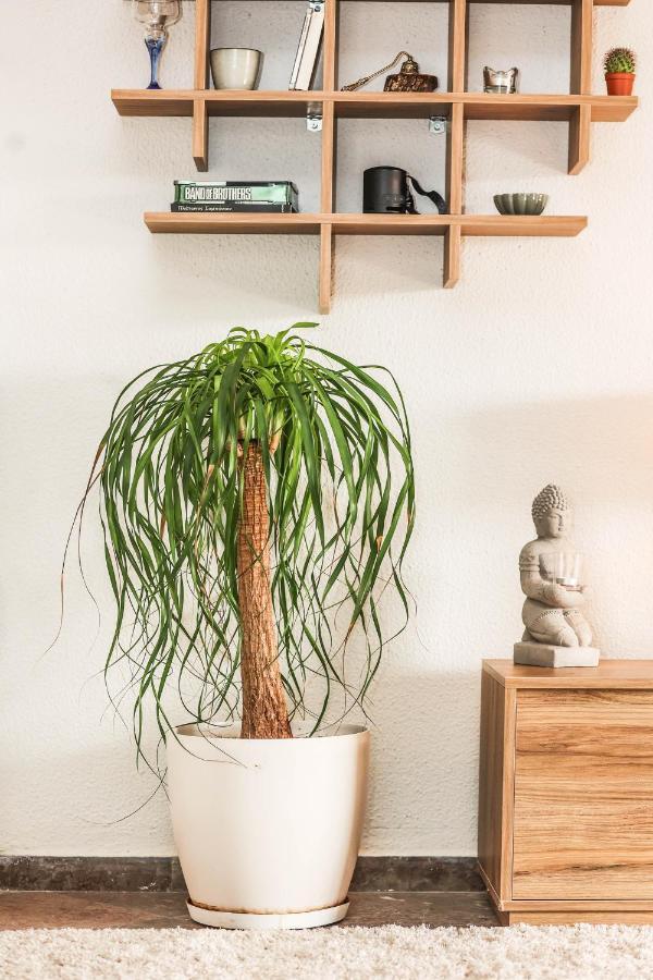 דירות Alepou Suburban Casa מראה חיצוני תמונה